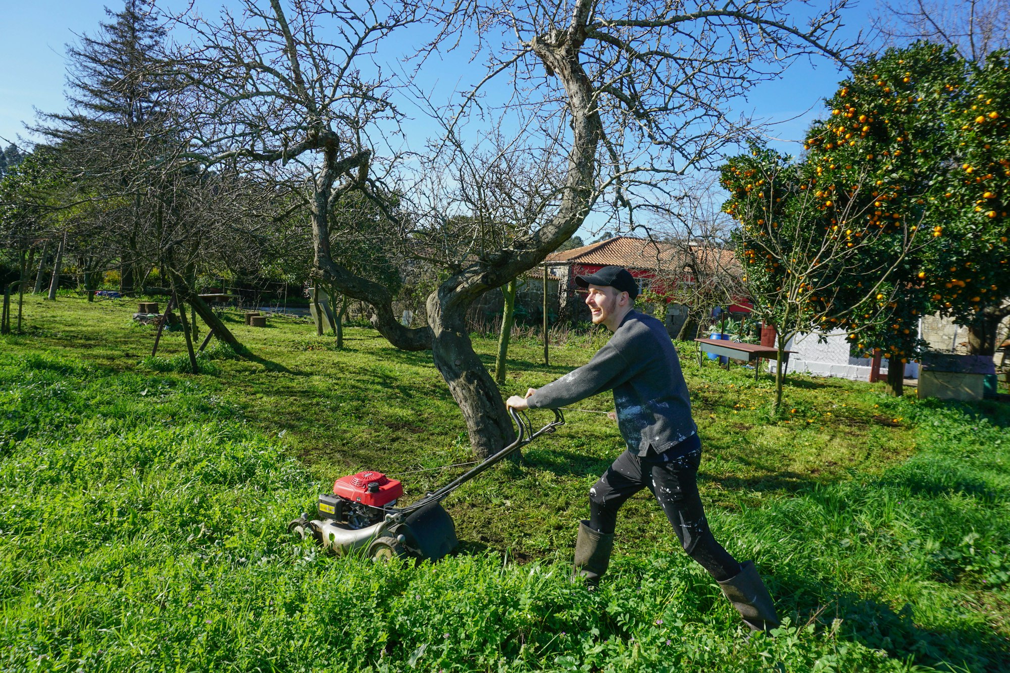 A Greenhaven landscaper mowing an overgrown suburban lawn, back to camera